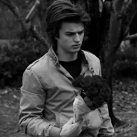 STEVE HARRINGTON