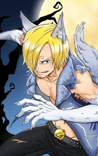3 Werewolf Sanji