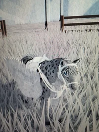 Snow leopard horse