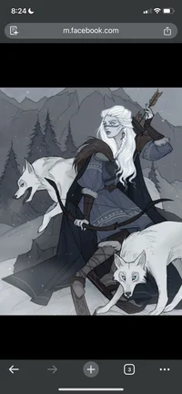 Skaadi