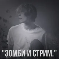 дипинс
