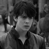 EDMUND PEVENSIE
