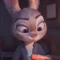 Judy