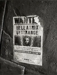 BELLATRIX BLACK