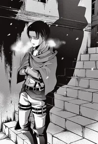 Levi