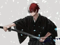 Shoto Todoroki