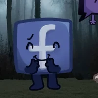 BFNIF Facebook pt br