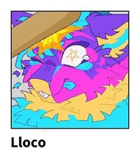 Lloco - KP