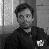 sebastian stan