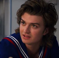 steve harrington 