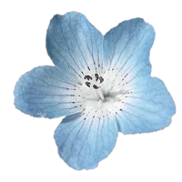 01 - AGenshin impact