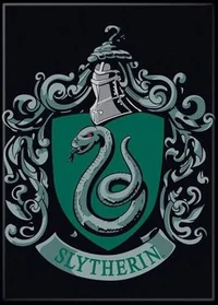 The Slytherin Boys