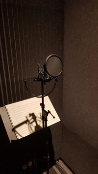 celebrityx celebrity