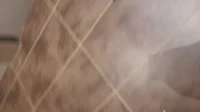Vent Bot