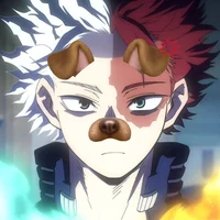 Shoto Todoroki