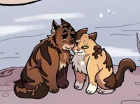 WARRIOR CATS