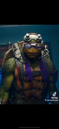 TMNT 2016 Donatello 