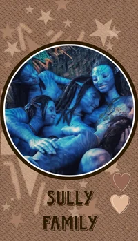 AV-CODL Sully family