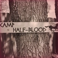 CAMP HALFBLOOD PJO