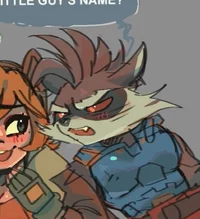 Rocket racoon