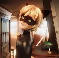 Chat Noir