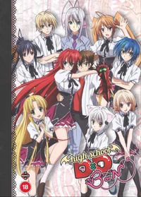 High school DXD