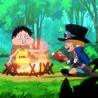 Sabo and Luffy