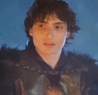 Mike Wheeler-Paladin