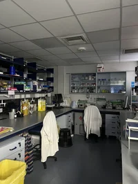 Lab