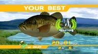Kevin the Fish