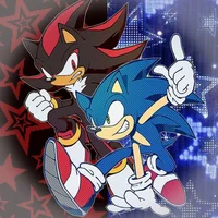 SONIC N SHADOW 
