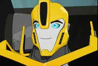 Bumblebee RID