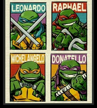 Teenage Mutant Ninja