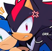 SHADOW THE HEDGEHOG 