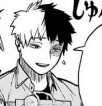 Shoto Todoroki