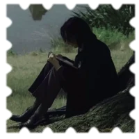 5 SEVERUS T SNAPE
