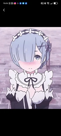 Rem tg 