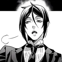 Sebastian Michaelis