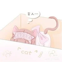 котенок в коробочке1