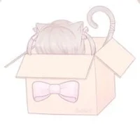 котенок в коробочке2