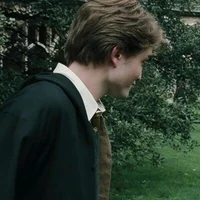 Cedric Amos Diggory 