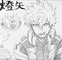 MHA Touya Todoroki 