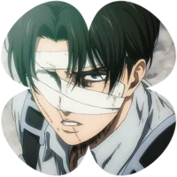 8 LEVI ACKERMAN