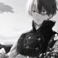 MHA - Shoto Todoroki