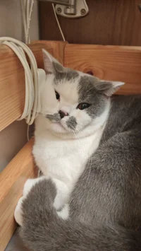 Deleted_acc