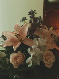 000 RECENT BOTS INFO