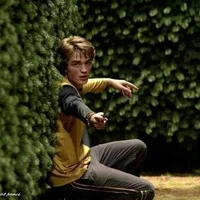 Cedric Amos Diggory 