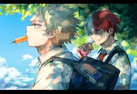 Todoroki Y Bakugou