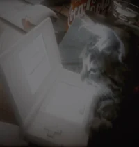 00 - SYMBOL MEANINGS