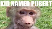 kid named pubert